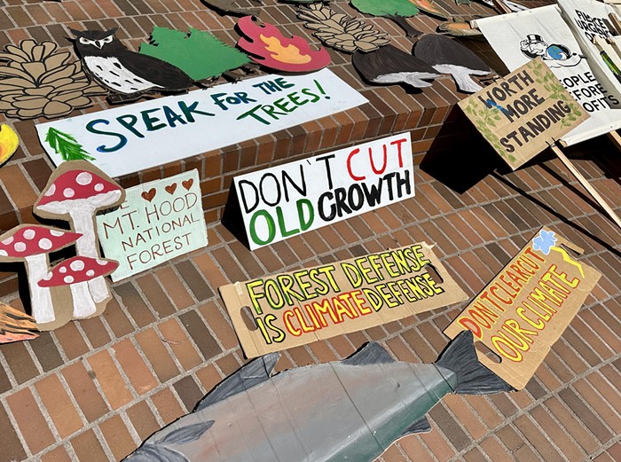 Activists Reignite the Battle for Oregon&rsquo;s Old-Growth Timber
